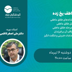 دوره عواطف یخ زده